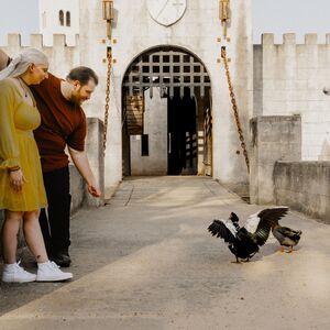 Gallery Photo 51