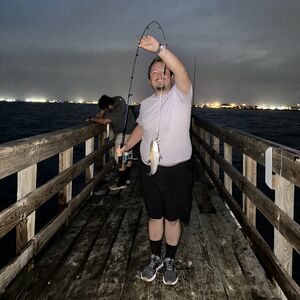 Gallery Photo 19