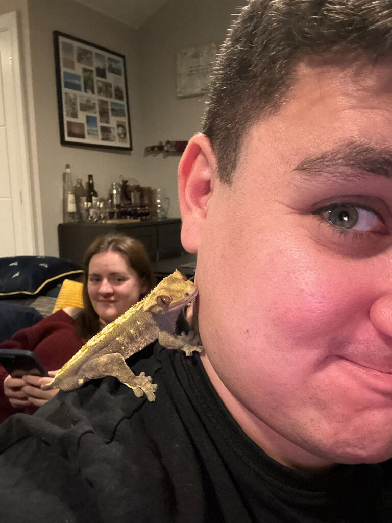 Emily's gecko Stevie moves in and settles into his new home