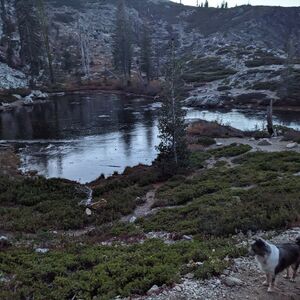 Gallery Photo 164