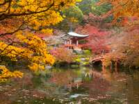 Kyoto in October