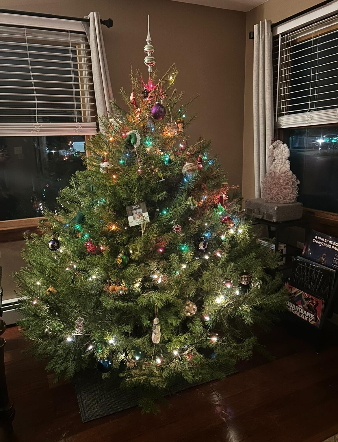 Decorated our first Christmas tree in our new home.
