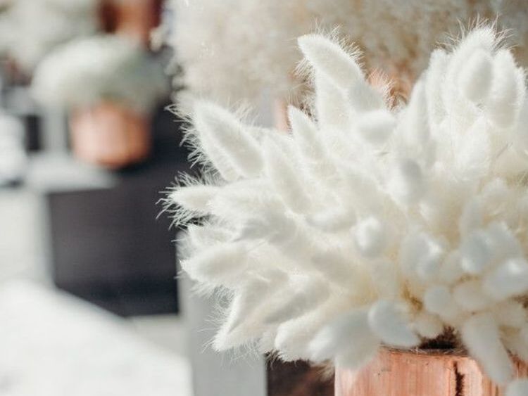 Arrangement of bunny's tail stems used as wedding ceremony aisle decor