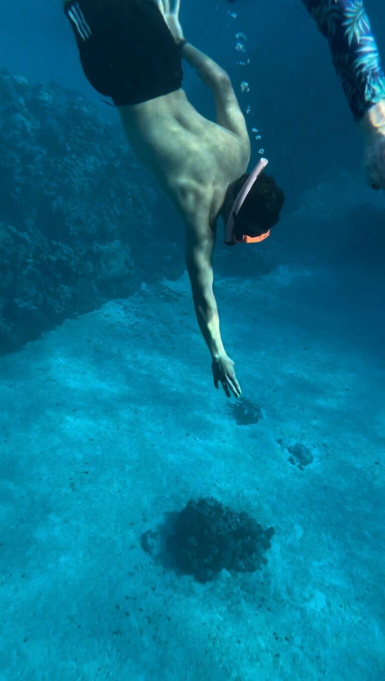 We snorkeled a Sunken U.S Navy ship, and a coral reef in the Cayman Islands 