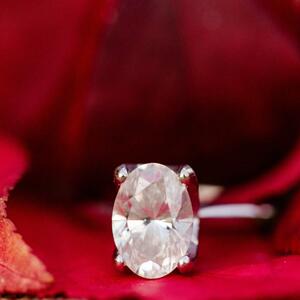Gallery Photo 34