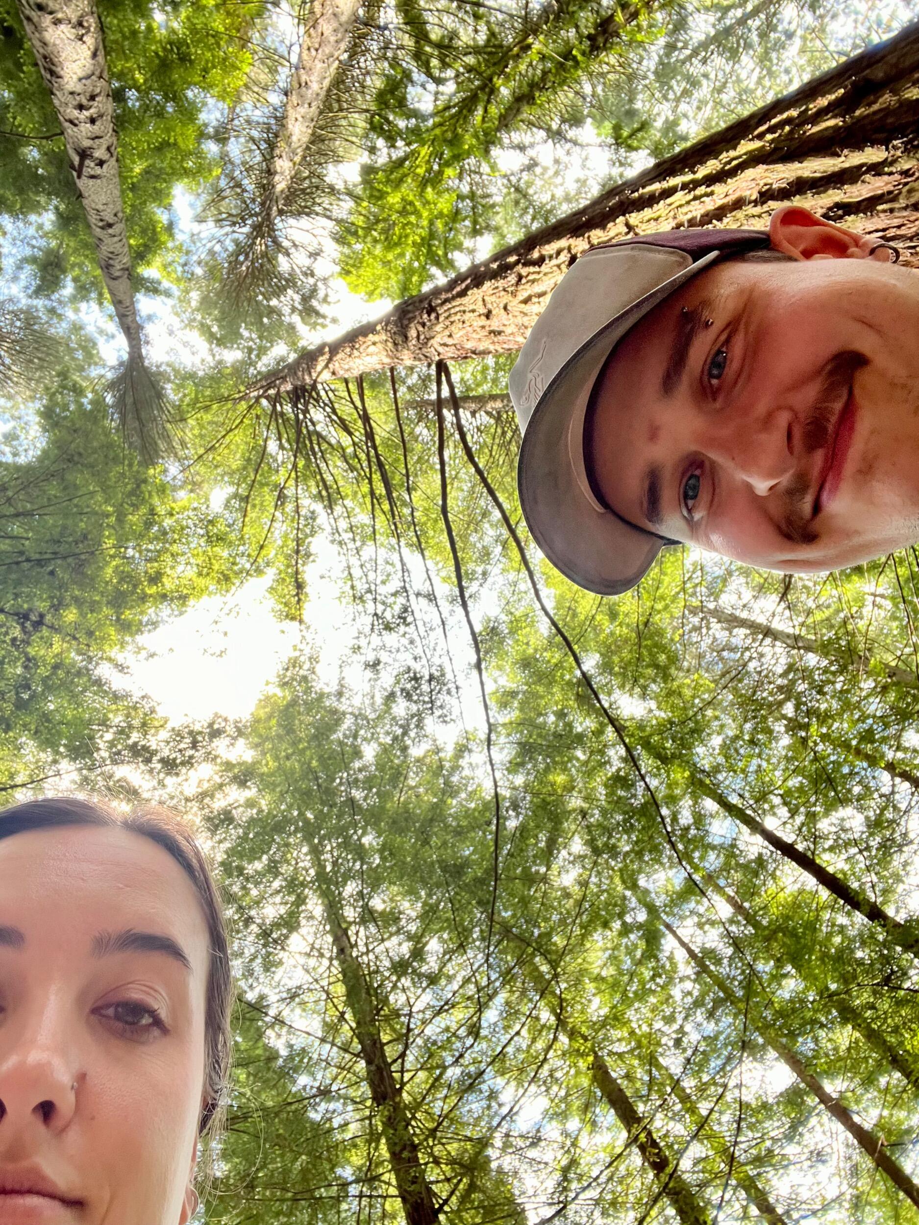 Admiring the redwood trees at Hoyt Arboretum 