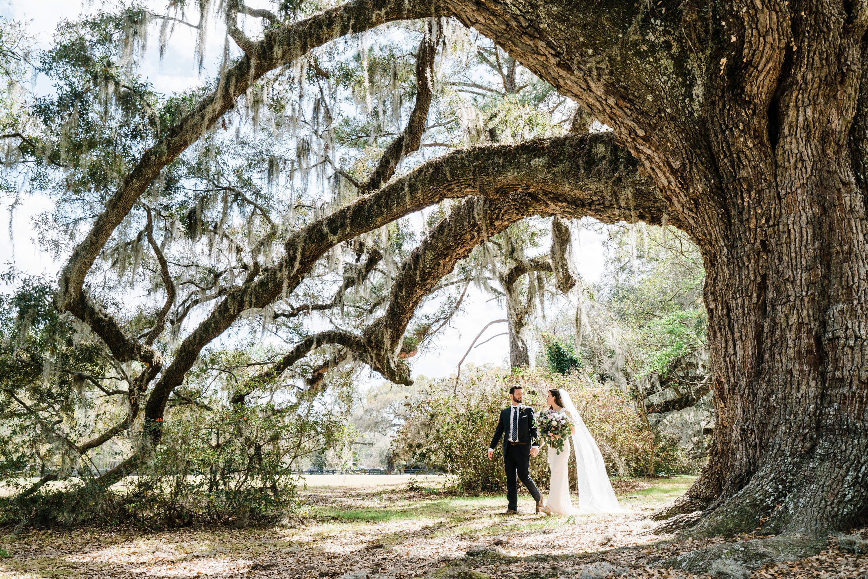 Magnolia Plantation And Gardens Reception Venues Charleston Sc