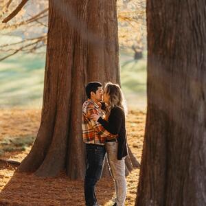 Gallery Photo 382