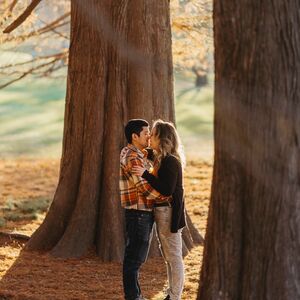Gallery Photo 382