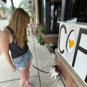 Gallery Photo 39