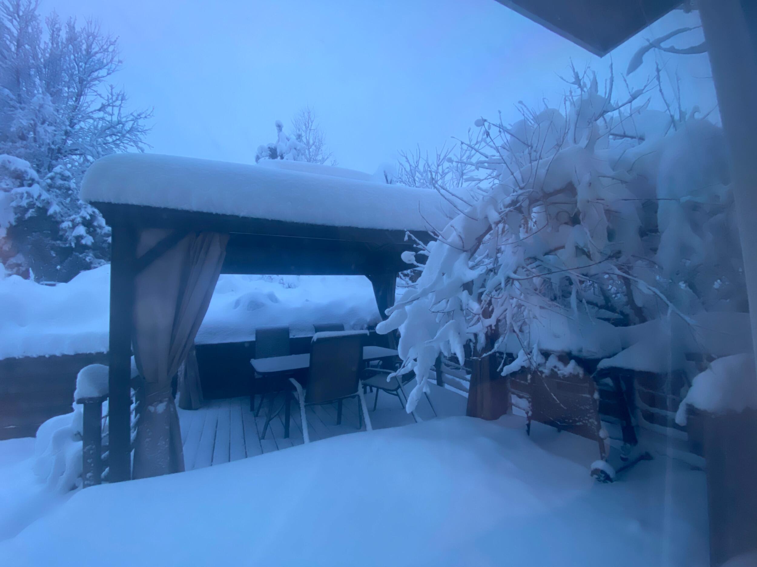 We moved houses, just in time for the huge snow storm! 