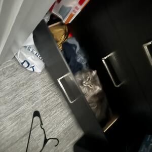 Gallery Photo 13