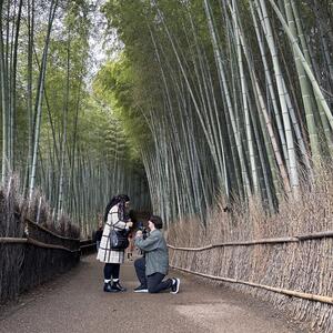 Gallery Photo 28
