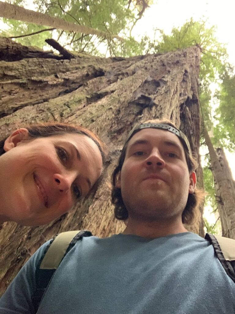 Redwood forest exploration