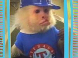 Miki the monkey - Circus Performer - Little Rock, AR - Hero Gallery 1