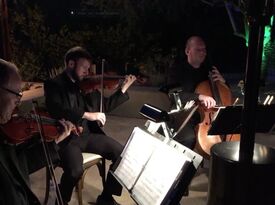 Apperson Strings - String Quartet - Phoenix, AZ - Hero Gallery 2