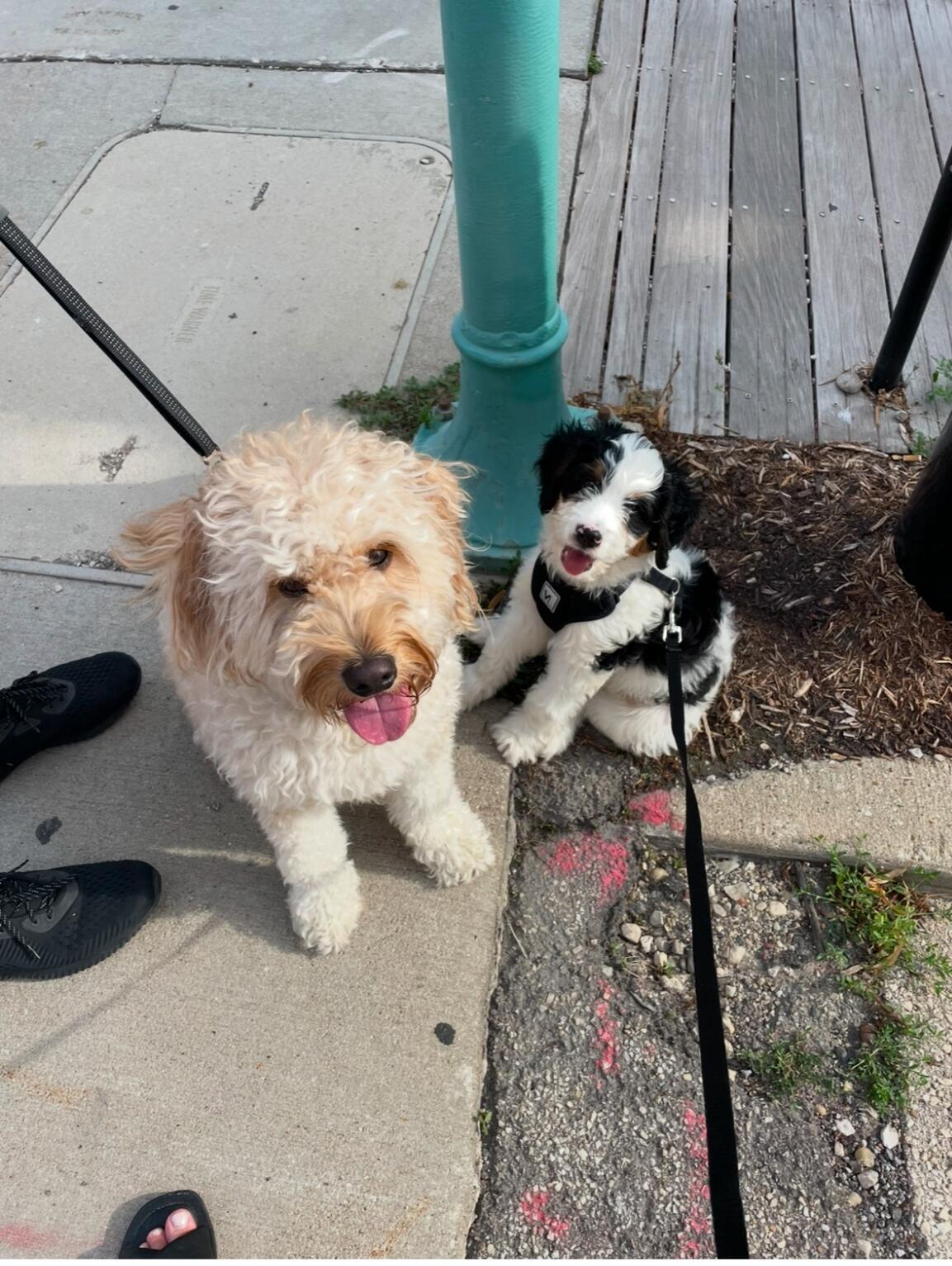 Walks around Third Ward
