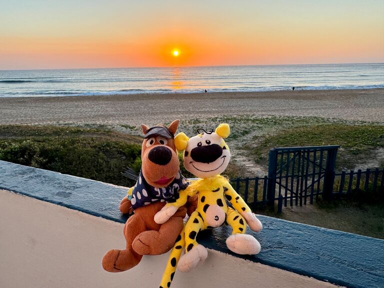 Scooby and Citron soaked up the sunrises during their scuba trip in Mozambique (nobody wants to see soggy 5am versions of Matthew and Emily)...
