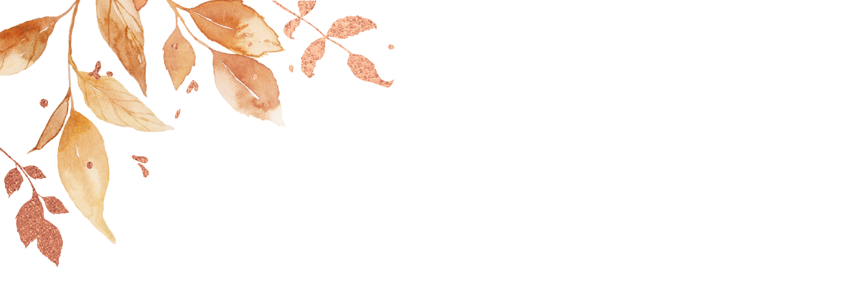 Top Theme Image