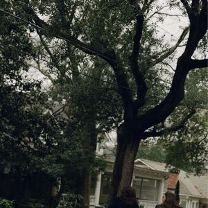Gallery Photo 6