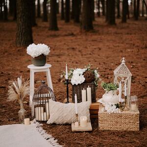 Gallery Photo 37