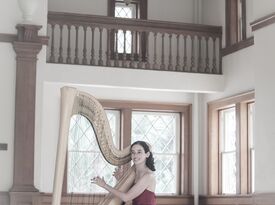 Lisa Lamb - Silver Wings Music - Harpist - Austin, TX - Hero Gallery 3