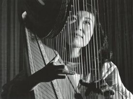 Hye-Yun Chung Bennett - Harpist - Washington, DC - Hero Gallery 2