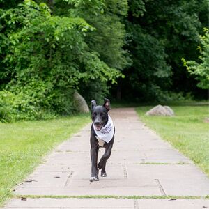 Gallery Photo 20