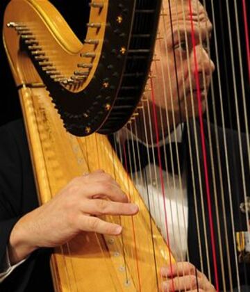 Eric Sabatino - Harpist - La Plata, MD - Hero Main