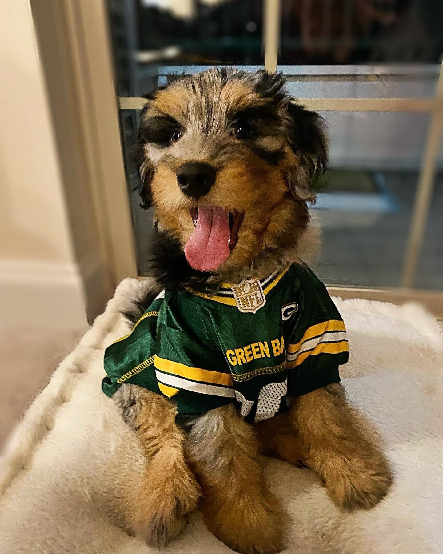 Sam and Dallas also share a love for their dog, Mr. Pickles, who has been a constant source of happiness for them both. 