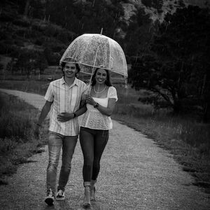 Gallery Photo 43