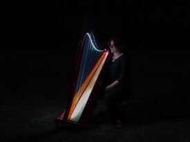 Rose Melody Performances - Harpist - Tallmadge, OH - Hero Gallery 1