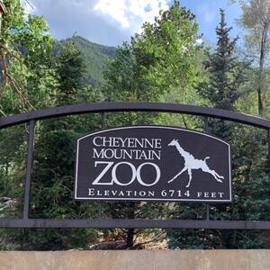 Gallery Photo 5