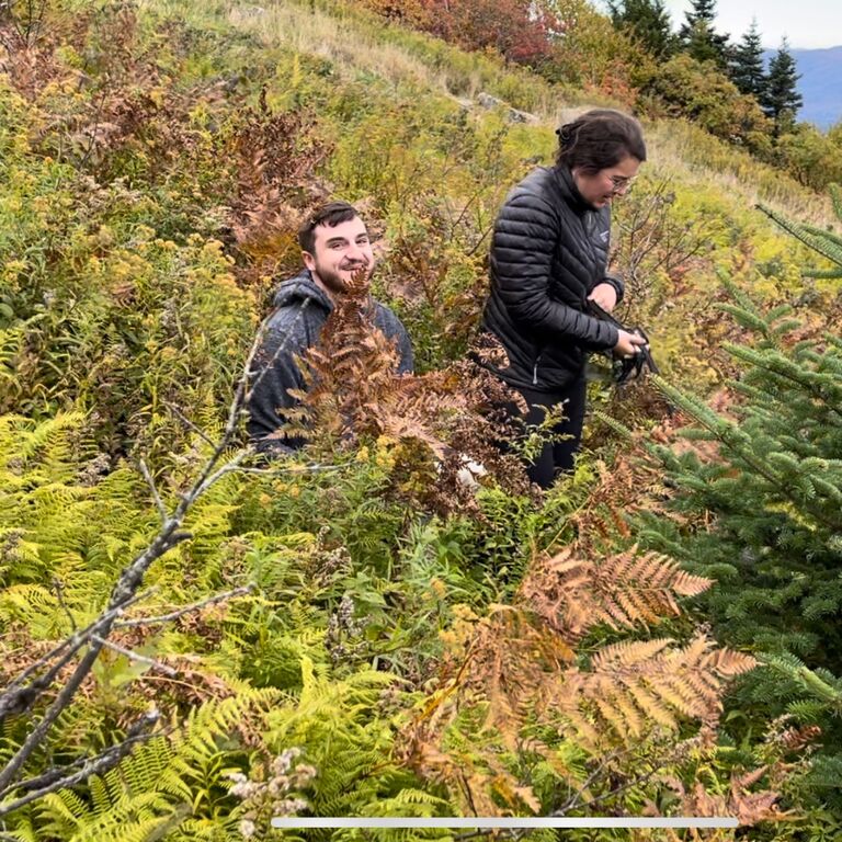 Sarah and Josh went "leaf peeping" at Greylock Mountain. Josh found a patch of ferns and asked to take a picture, knowing they were Sarah's favorite. . .