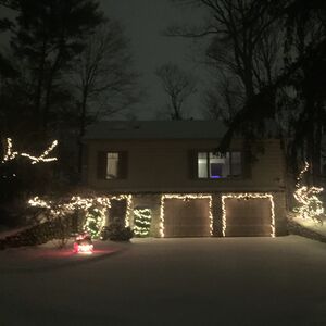 Gallery Photo 28