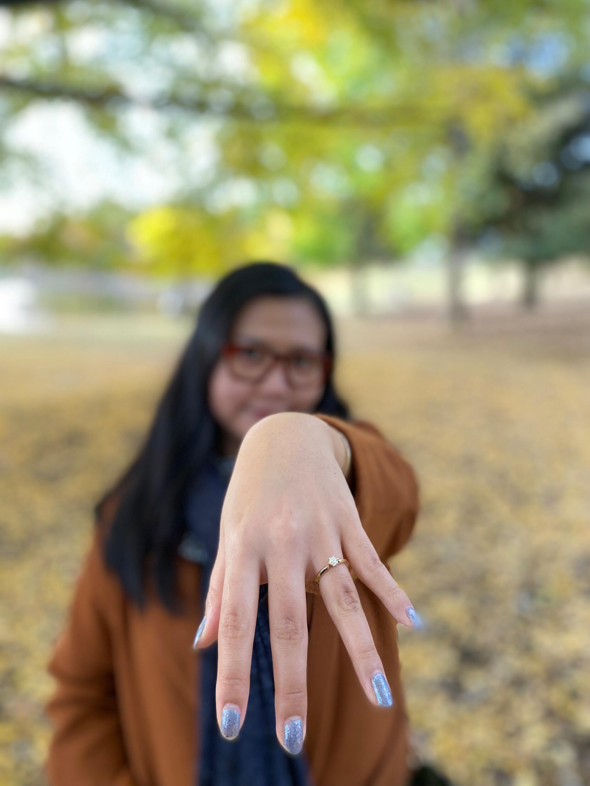 Proposal in Japan