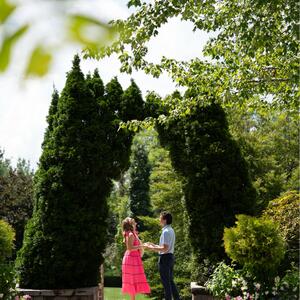 Gallery Photo 27