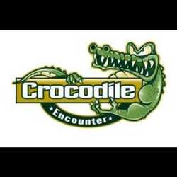 Crocodile Encounter, profile image