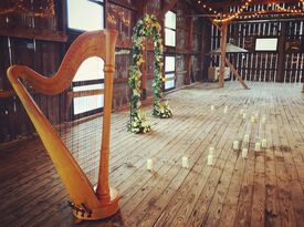 Mystical Harp - Harpist - Indianapolis, IN - Hero Gallery 2