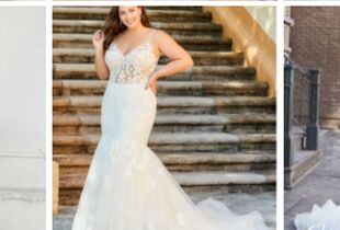 House of Brides Oak Lawn