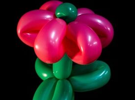 Next Level Balloons - Balloon Twister - Corvallis, OR - Hero Gallery 3