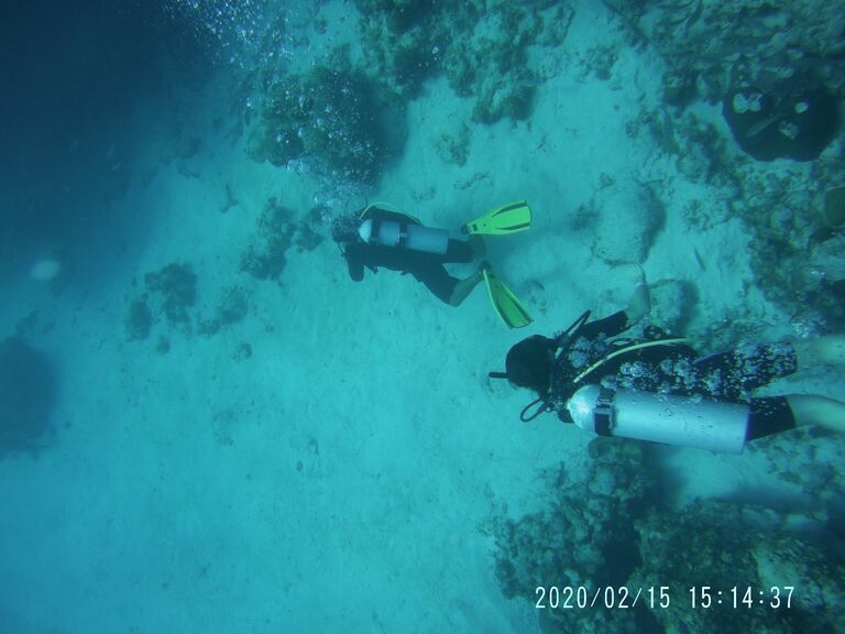 Took a 15 minute class on how to SCUBA dive, and then explored the natural reef