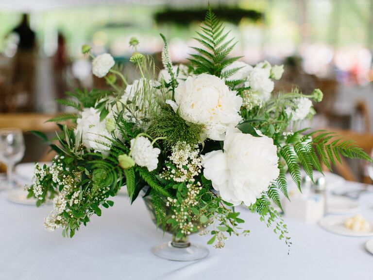 white flowers and ferns