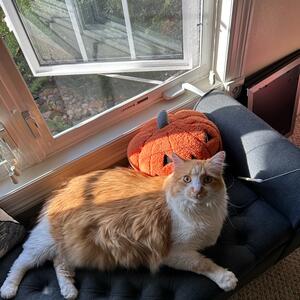 Gallery Photo 14