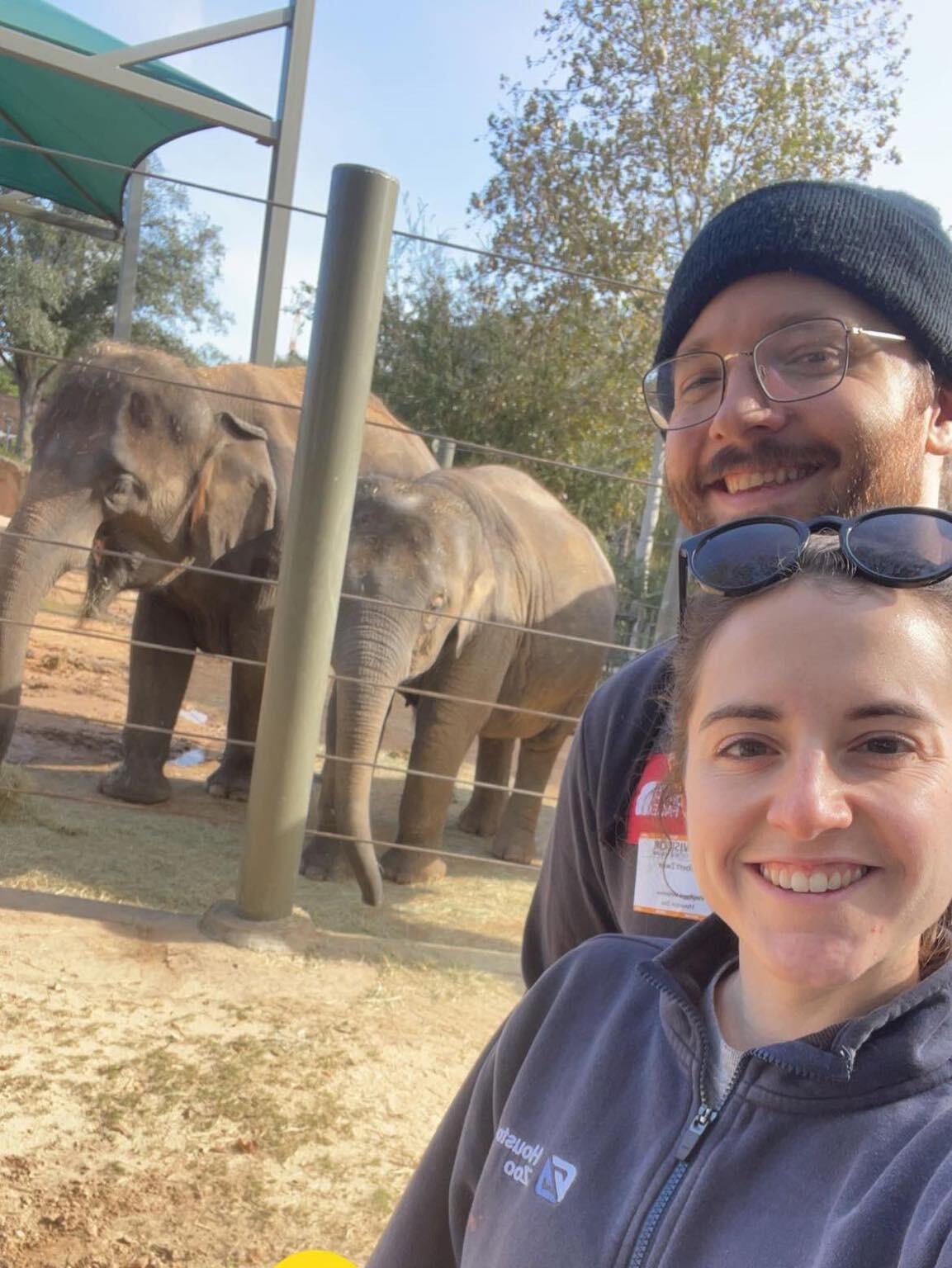 Rob tries being an elephant keeper for a day
