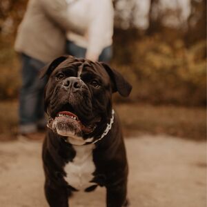 Gallery Photo 21