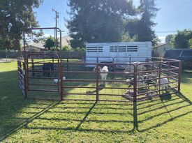 Ford Farms Petting Zoo & Pony Rides - Petting Zoo - Lindsay, CA - Hero Gallery 1