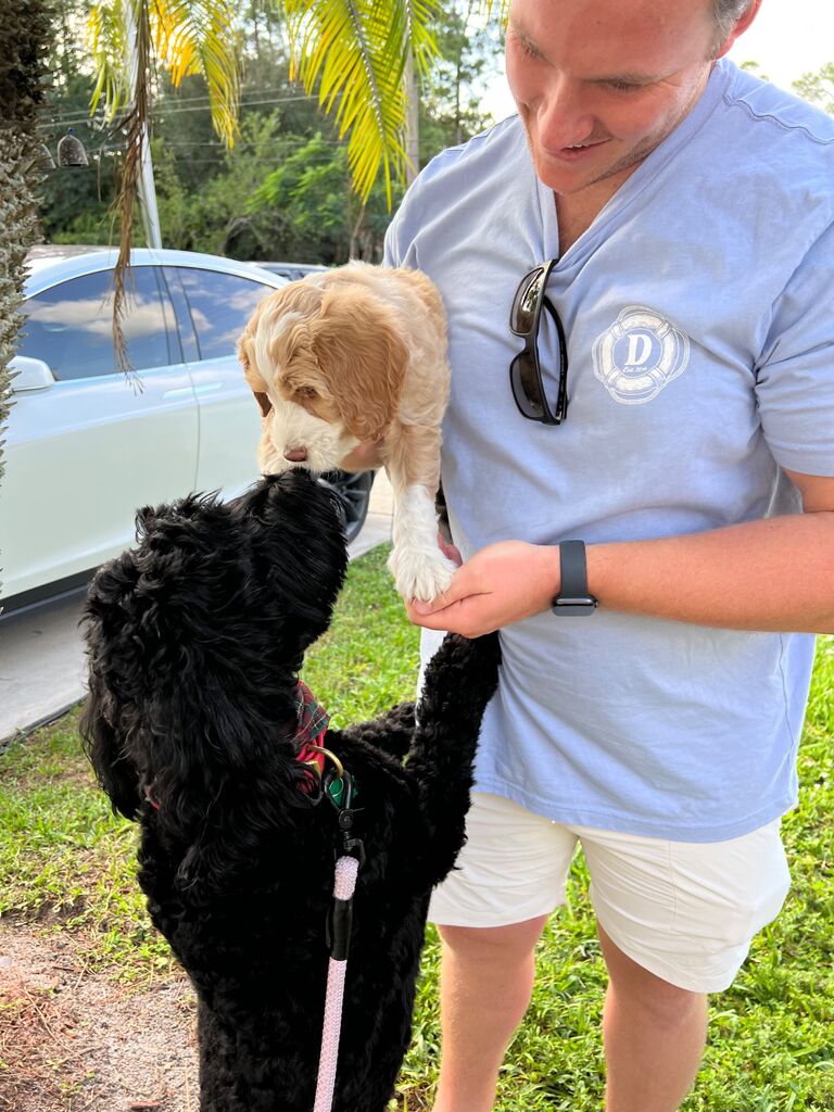 When we picked out Sunny!