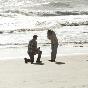 Gallery Photo 7