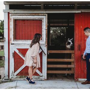 Gallery Photo 25